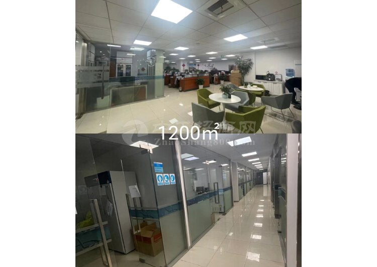 实拍！张江新出全装修生物化学医药研发中心，3百6百1千2千平3