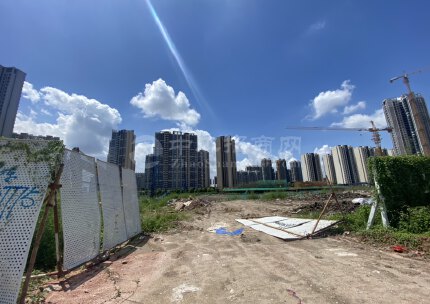 港口西区工业用地可堆放停放有建筑3