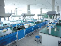 上海精装实验室，紧邻张江药谷，有环评，有上下水，可排放
