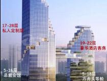 深圳唯一五叶石项目可居住可商业