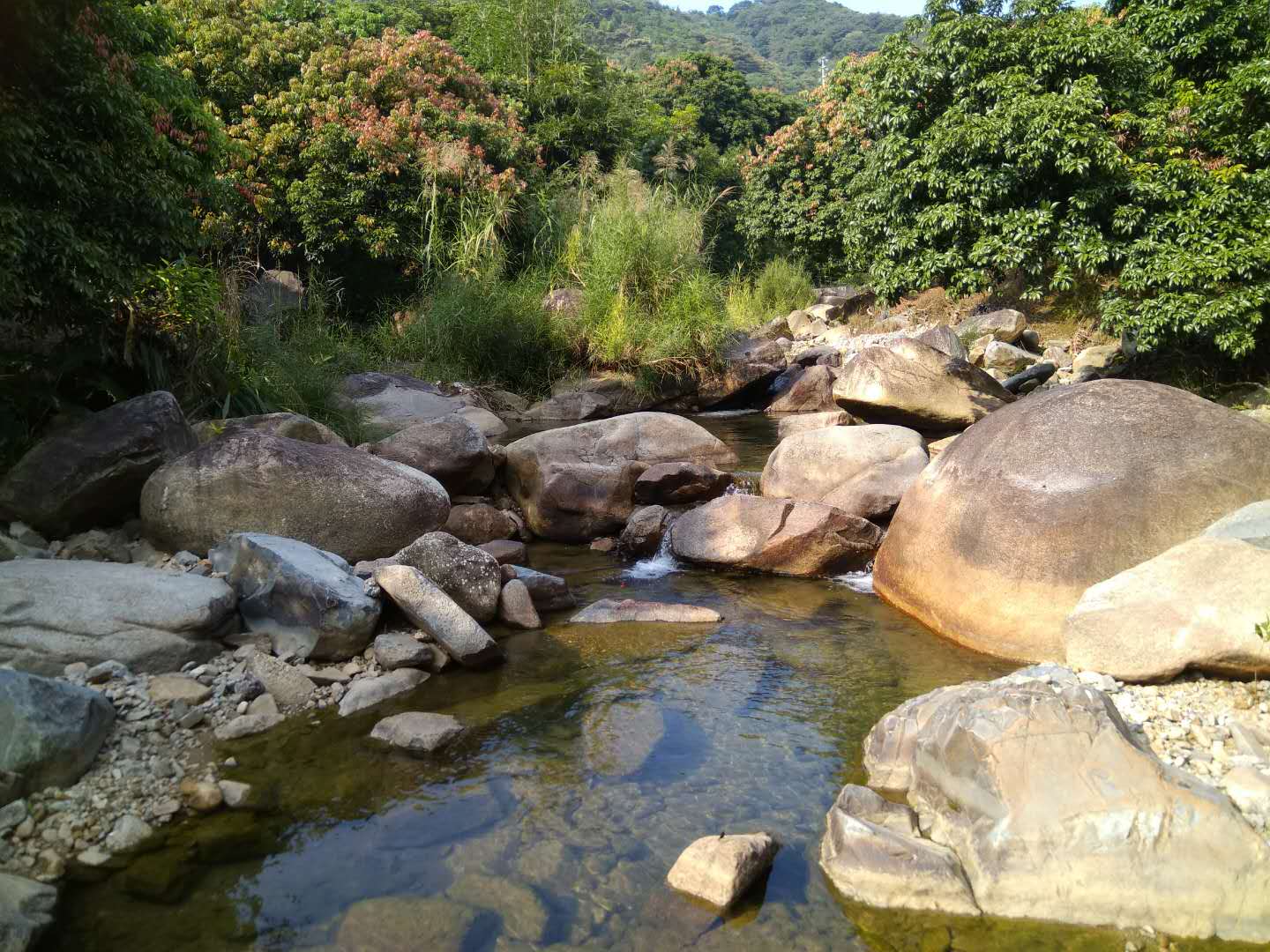 从化区温泉石门旅游区附近溪水边3.5亩果园永久转让9