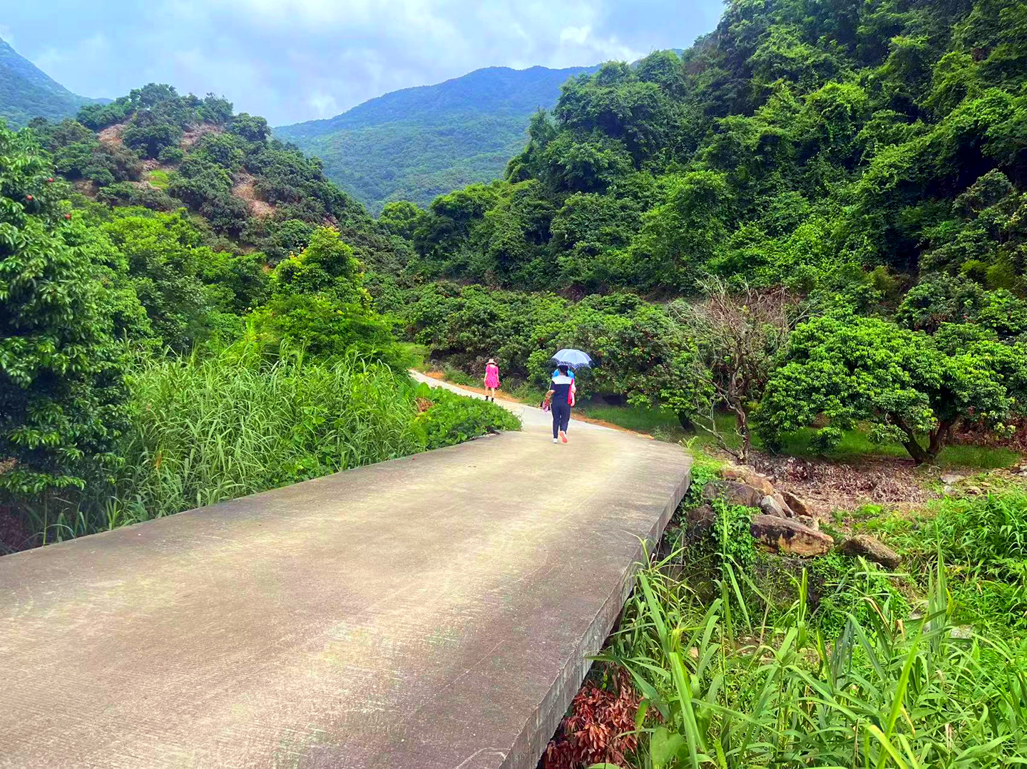 从化区温泉石门旅游区附近溪水边3亩果园土地转让8