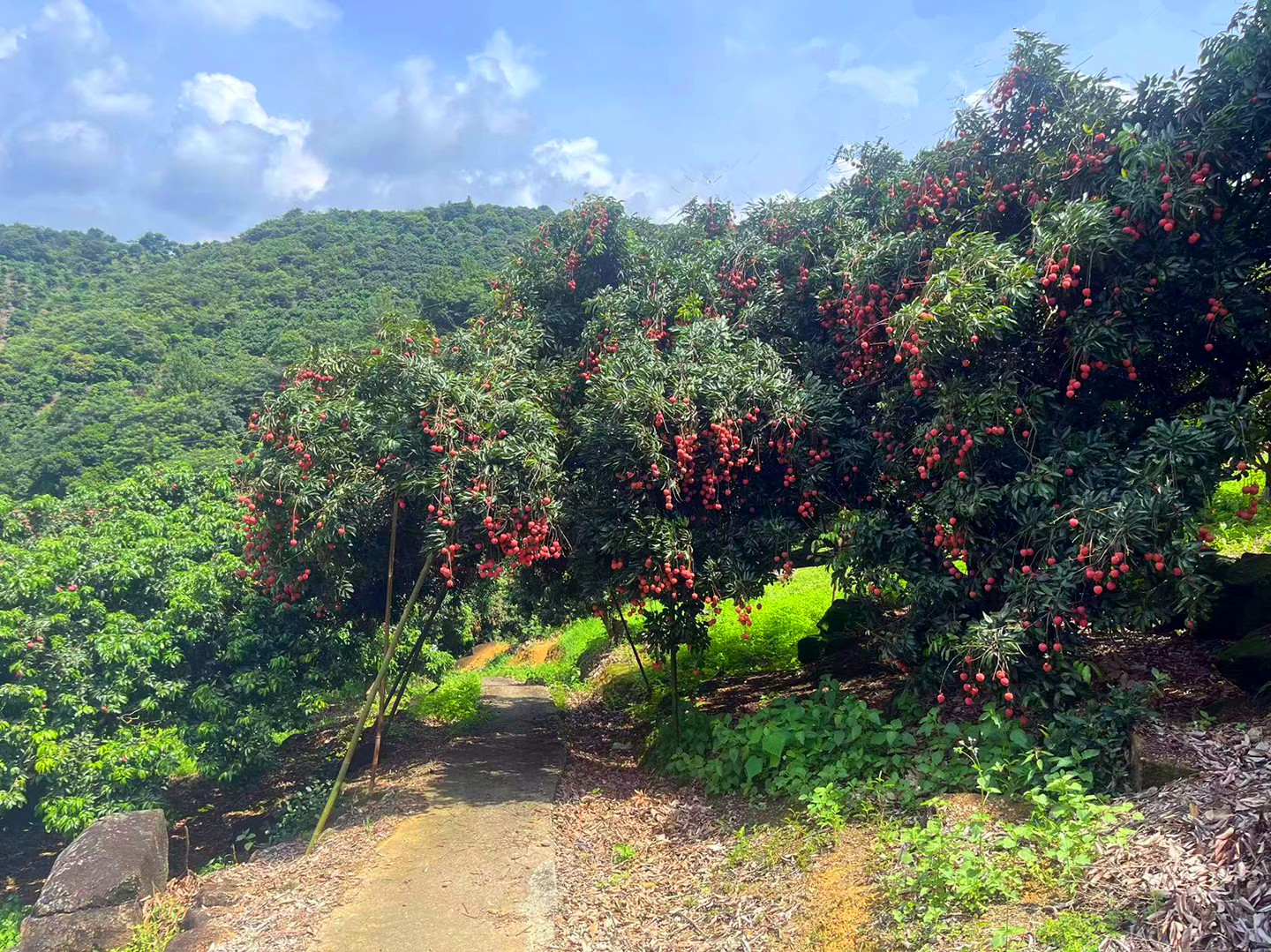 从化区温泉石门旅游区附近1