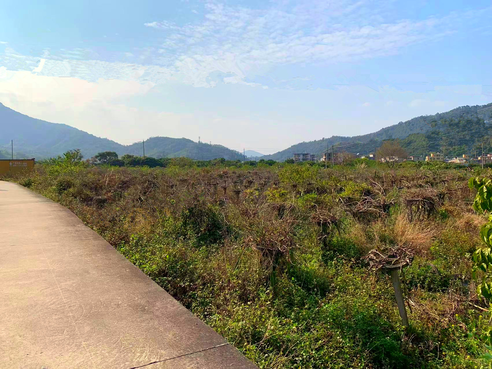 从化区良口碧水湾旅游区附近16亩土地经营权整体转让2