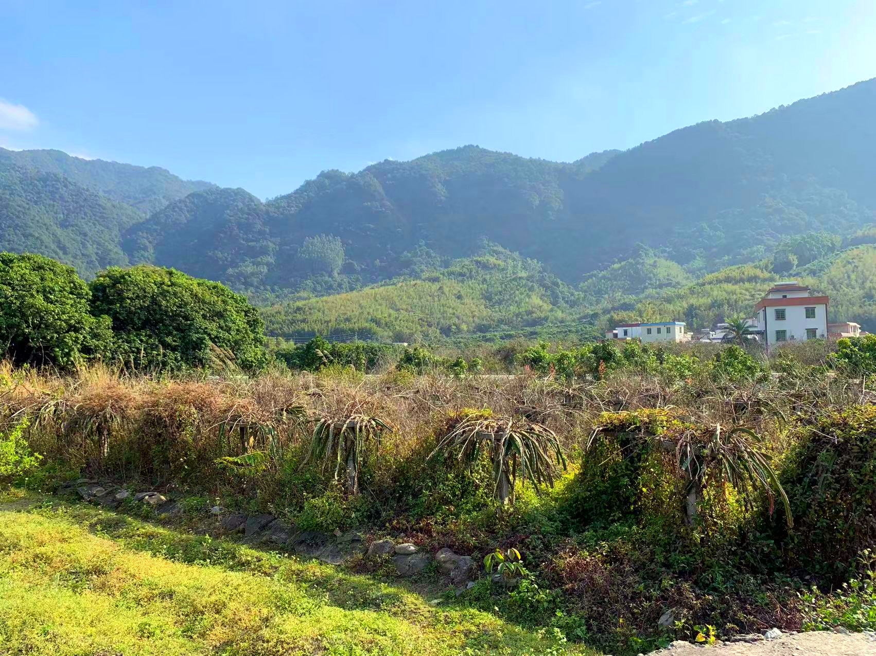 从化区良口碧水湾旅游区附近16亩土地经营权整体转让6