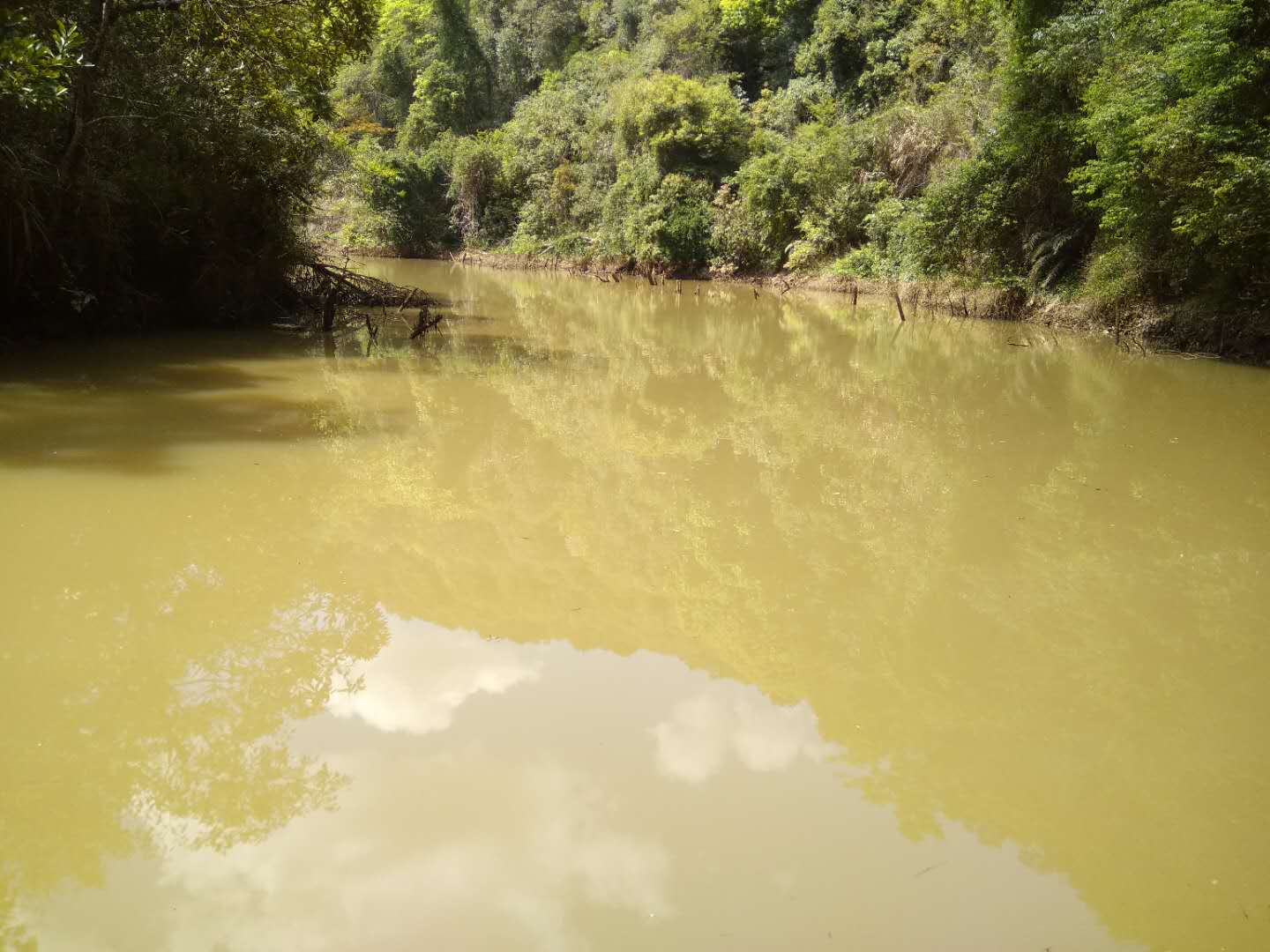 广东河源市东源县有445千瓦水力发电站整体转让2