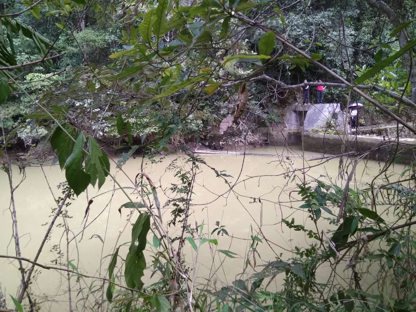 广东河源市东源县有445千瓦水力发电站整体转让