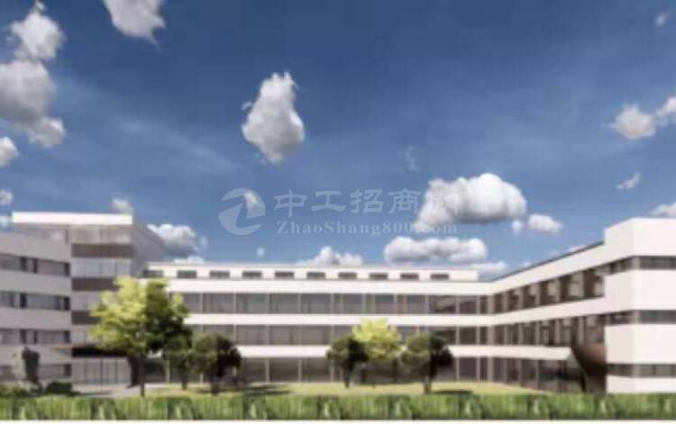 张江南，独栋3千平生物，分子蛋白细胞类研发总部办公，精装转让1