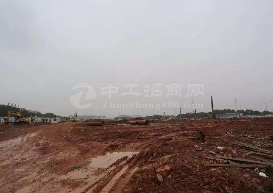 深圳龙华现有600亩土地，红本地皮