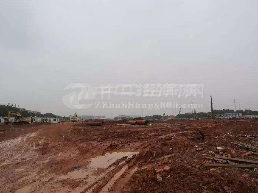 深圳龙华现有600亩土地，红本地皮1