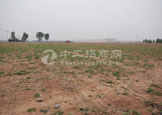 深圳龙华现有600亩土地，红本地皮6