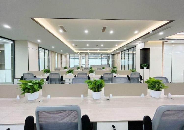 南山科技园深圳湾科技生态园520平精装办公室双面采光+2