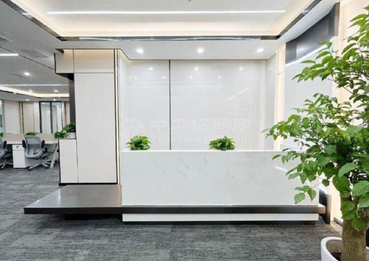 南山科技园深圳湾科技生态园520平精装办公室双面采光+1
