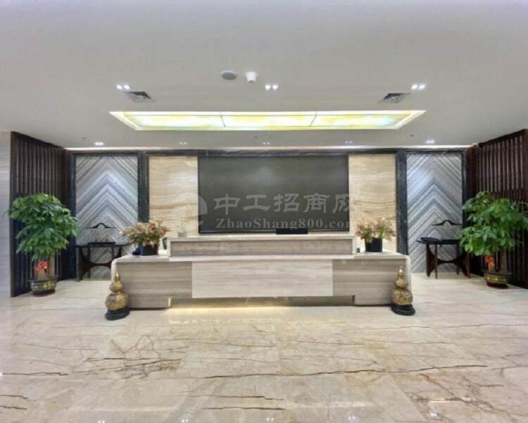 深圳湾生态园高层东南向豪装800平带家私