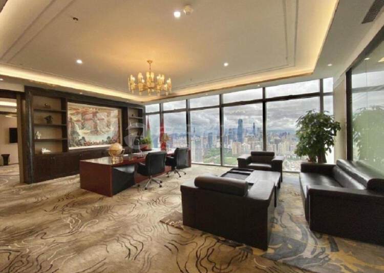 深圳湾生态园高层东南向豪装800平带家私9