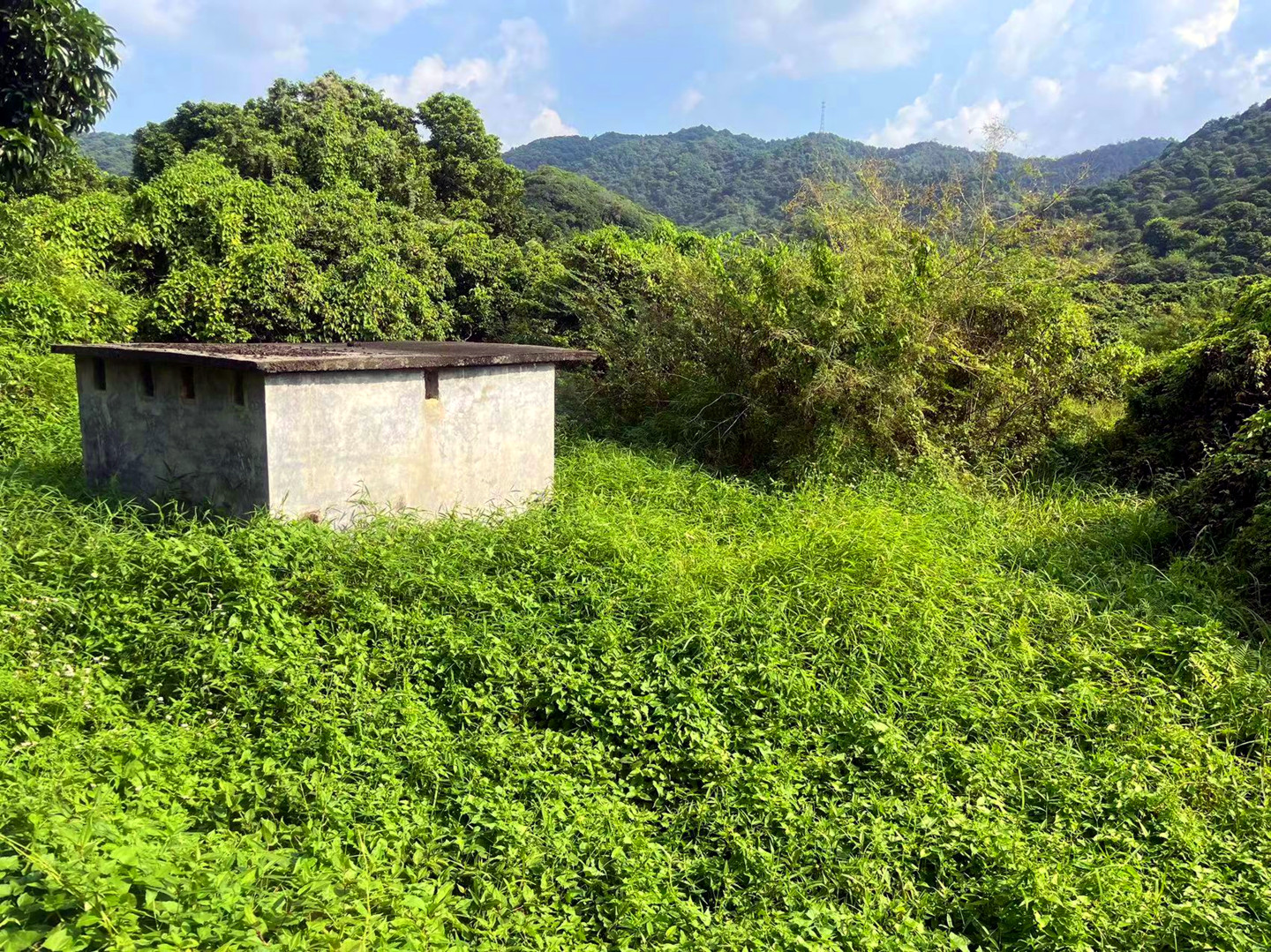 从化区温泉龙岗墟附近1.5亩平地果园房屋整体转让1