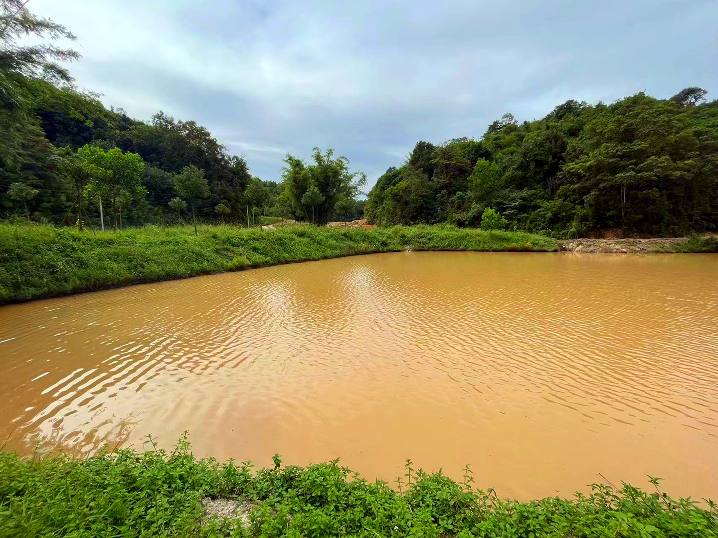 从化区鳌头镇附近有400亩山地鱼塘房屋整体转让1