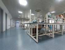 周浦独栋生物医药原料研发中心，生物细胞蛋白理化实验GMP空间