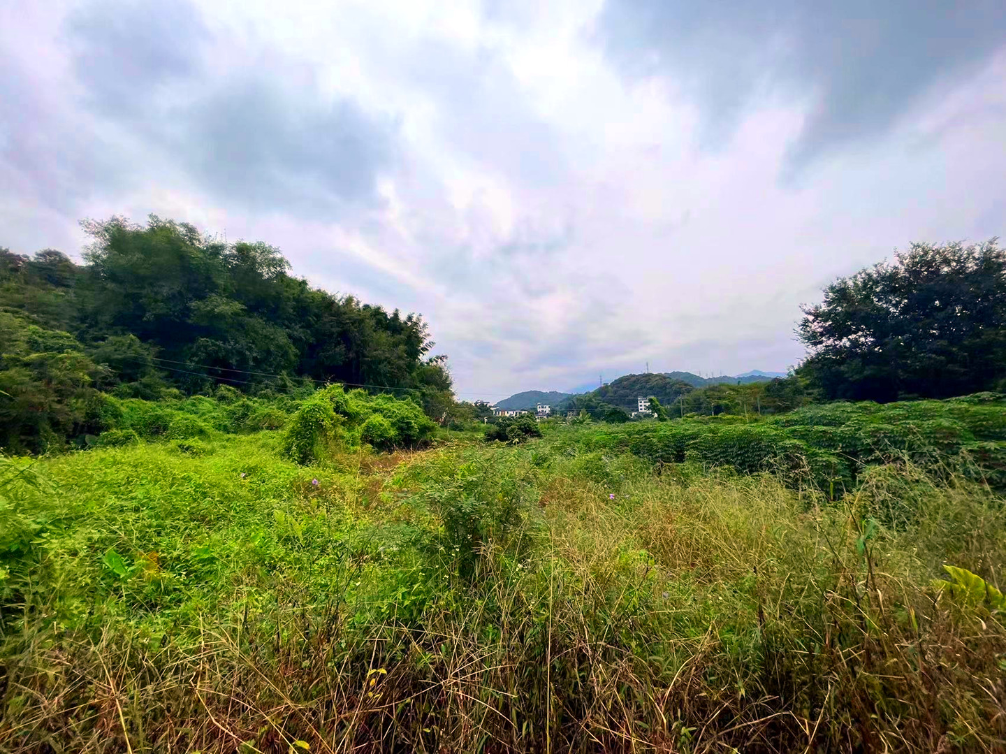 从化区良口旅游区附近300亩山地果园房屋农庄转让9