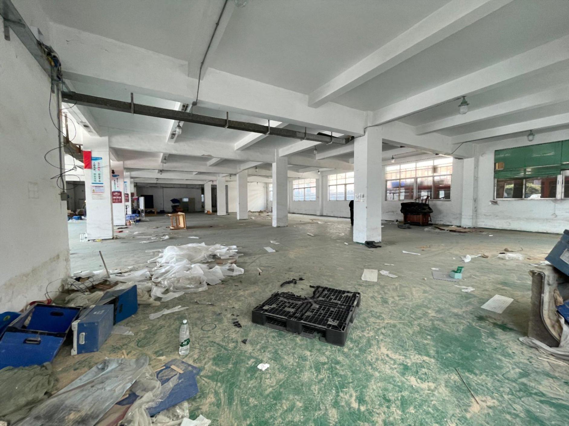 免租期6个月起坂田布吉独栋独院5300平可办环评可钣金喷漆! 免租期6个月起坂田布吉独栋独院5300平可办环评可钣金喷漆!