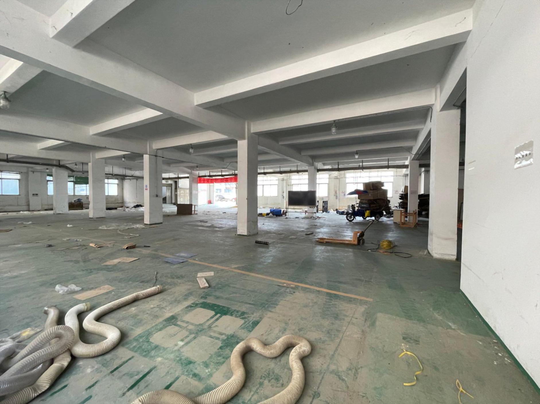 免租期6个月起坂田布吉独栋独院5300平可办环评可钣金喷漆! 免租期6个月起坂田布吉独栋独院5300平可办环评可钣金喷漆!