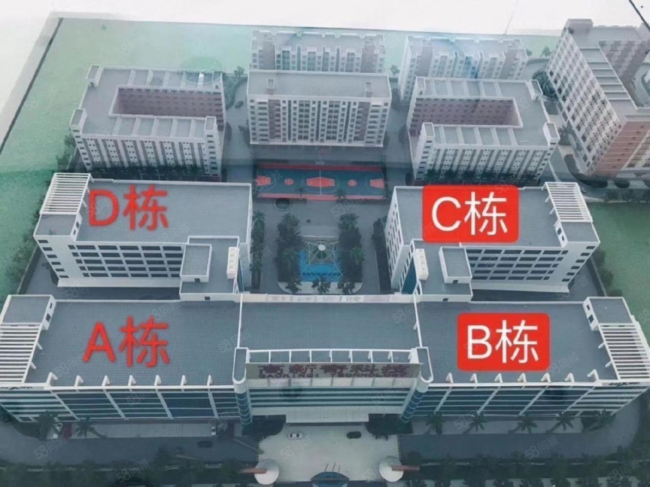兴东高新科技园享租金补贴政策开发商直招大小均有好停车