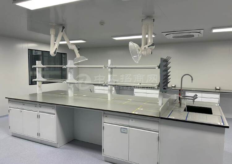 张江药谷60~900平精装实验室可小试细胞房医药研发办公2