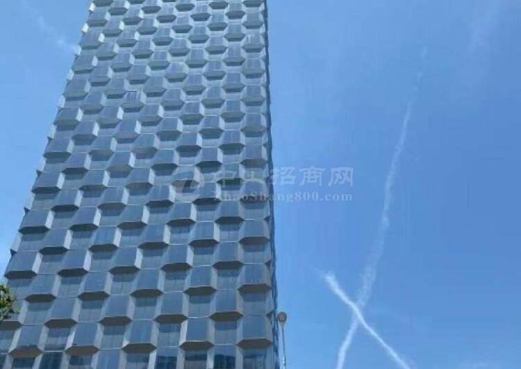 深圳湾钻石塔精装带家具电梯口双面采光372平+++1