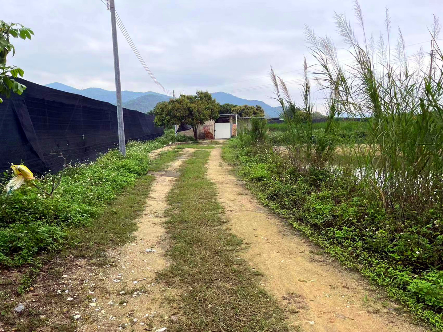 从化区城郊街旅游区附近15亩土地鱼塘房屋整体转让3