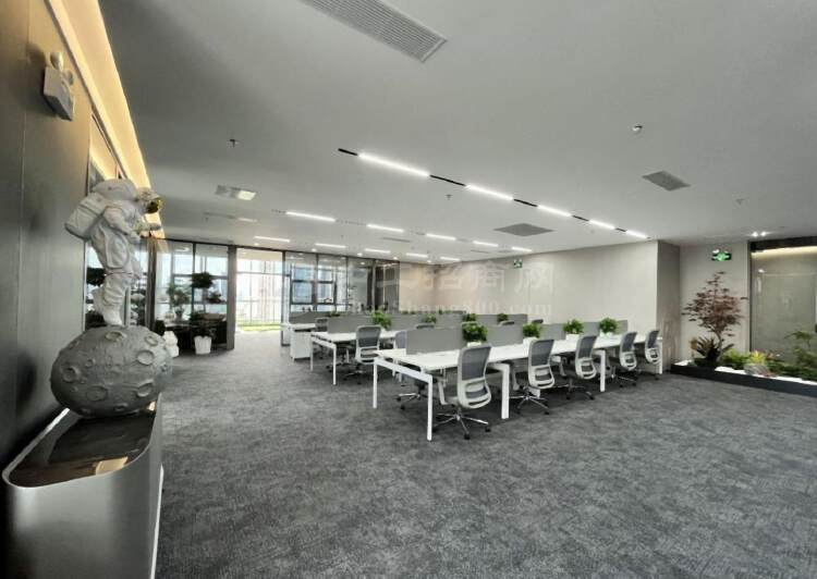 彩讯科技大厦全新豪装800平带全套家私带超大阳台科技园5