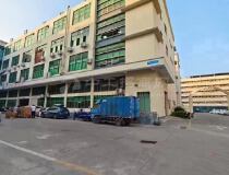 增城新塘镇独院标准厂房一楼1600平方带装修可分租