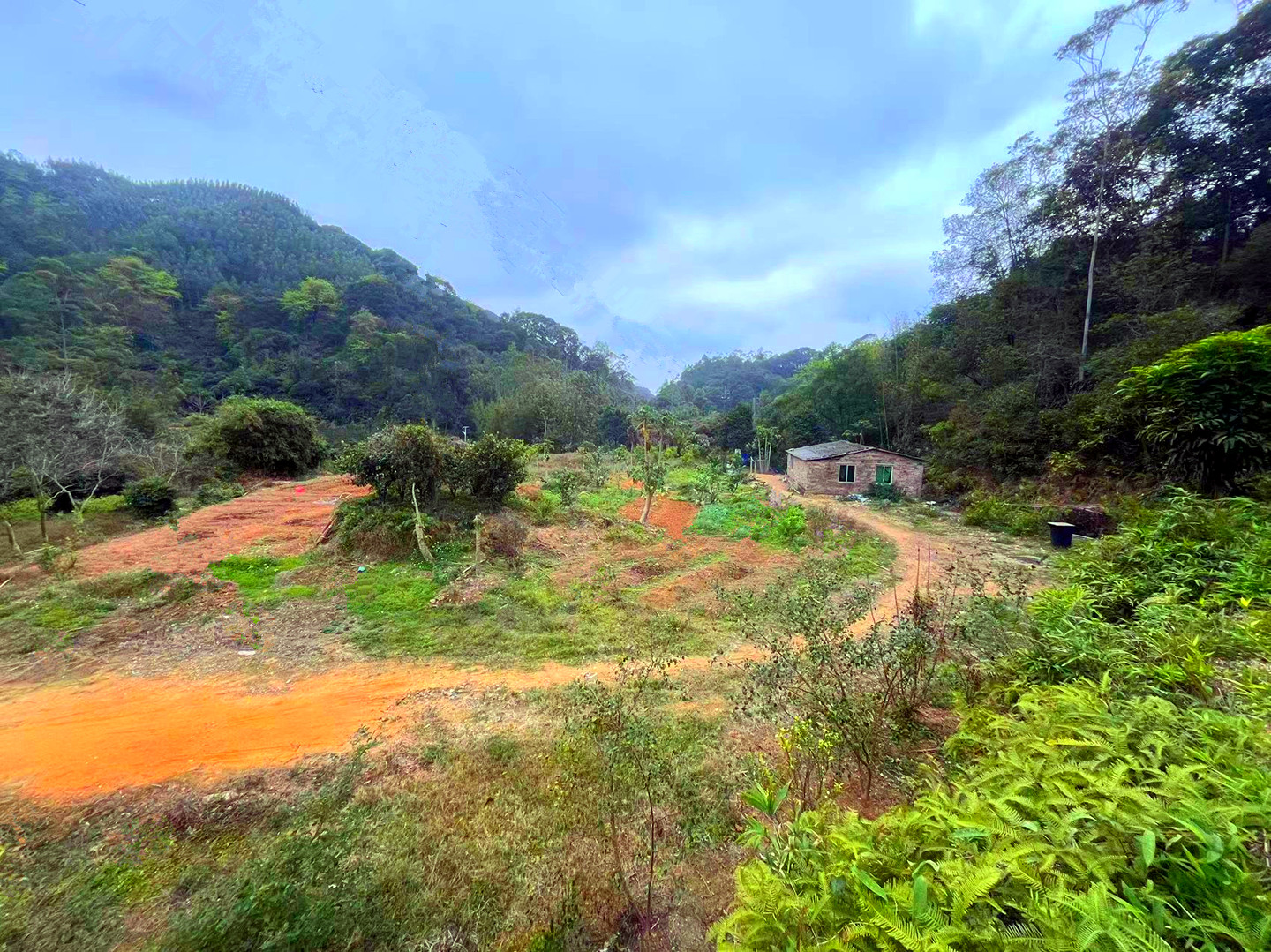 从化温泉旅游区105国道附近30亩果园农庄整体转让7