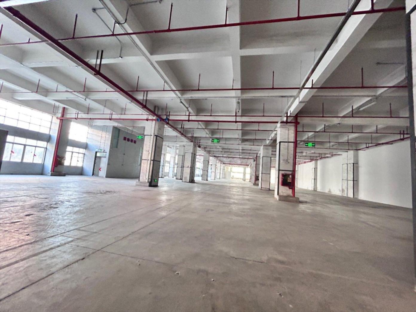 深圳龙华元芬地铁口现成物流仓带卸货平台1000平厂房仓库出租 深圳龙华元芬地铁口现成物流仓带卸货平台1000平厂房仓库出租