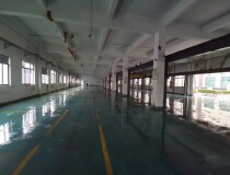 松江工业区1000平方米一楼厂房出租，可分租