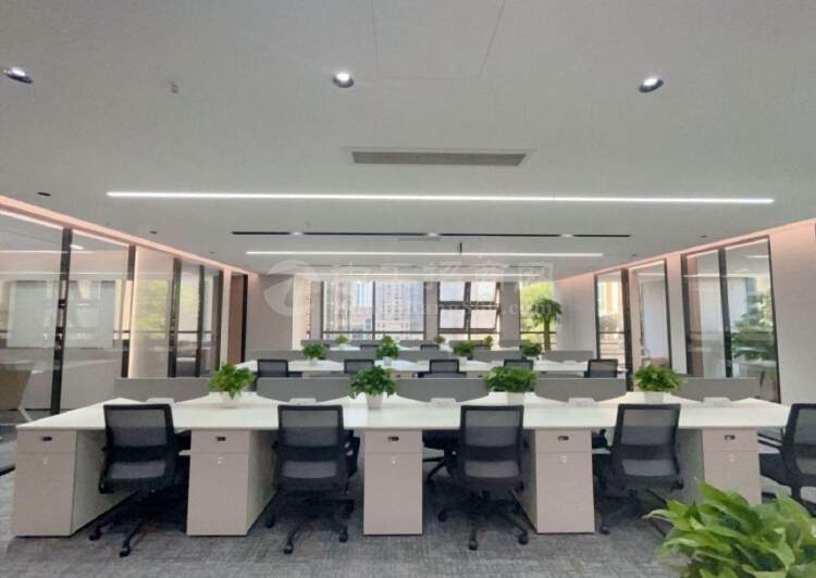 租金80元深圳湾科技生态园500平精装带家私办公室户型方正2