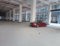 新塘镇荔新公路边独院厂房60000平米出租可分租