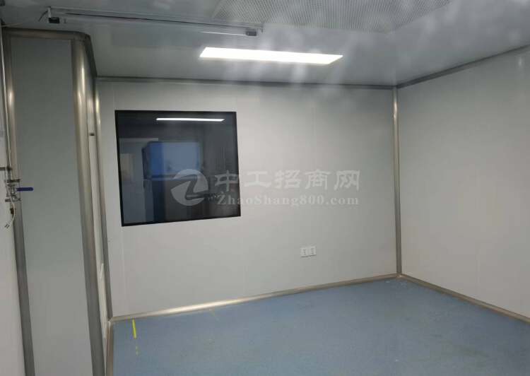 张江高科，精装实验室实拍600平，生物医药专属空间，拎包入住6