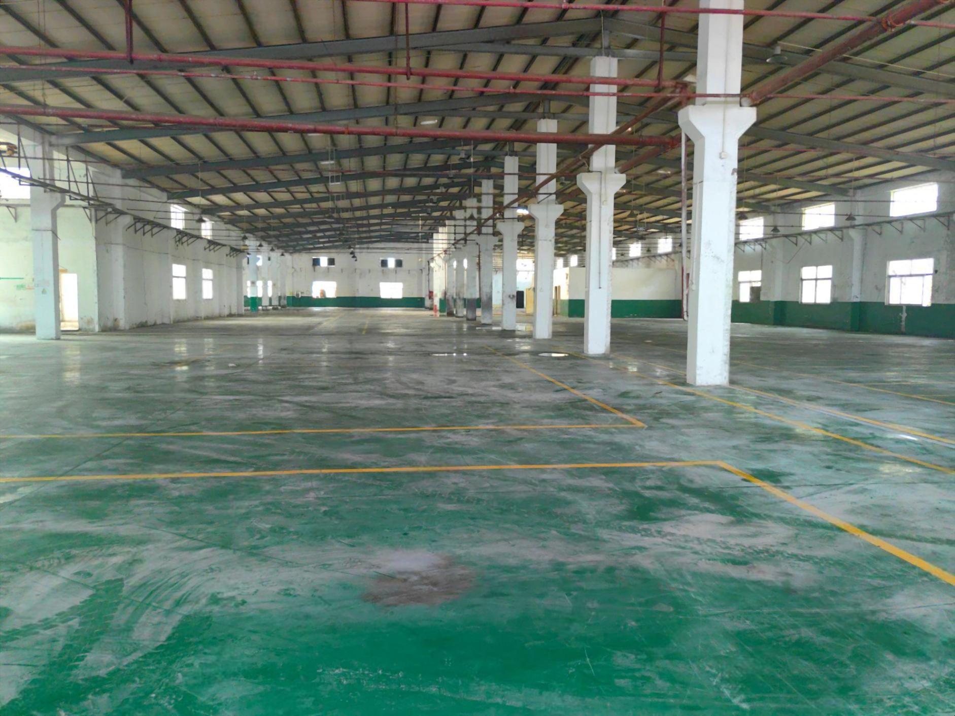 龙岗同乐工业园钢结构厂房仓库500平至5000平方滴水8米