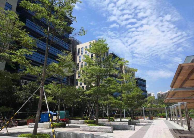 TCL国际E城208平园林式办公超高绿化率可带家私7