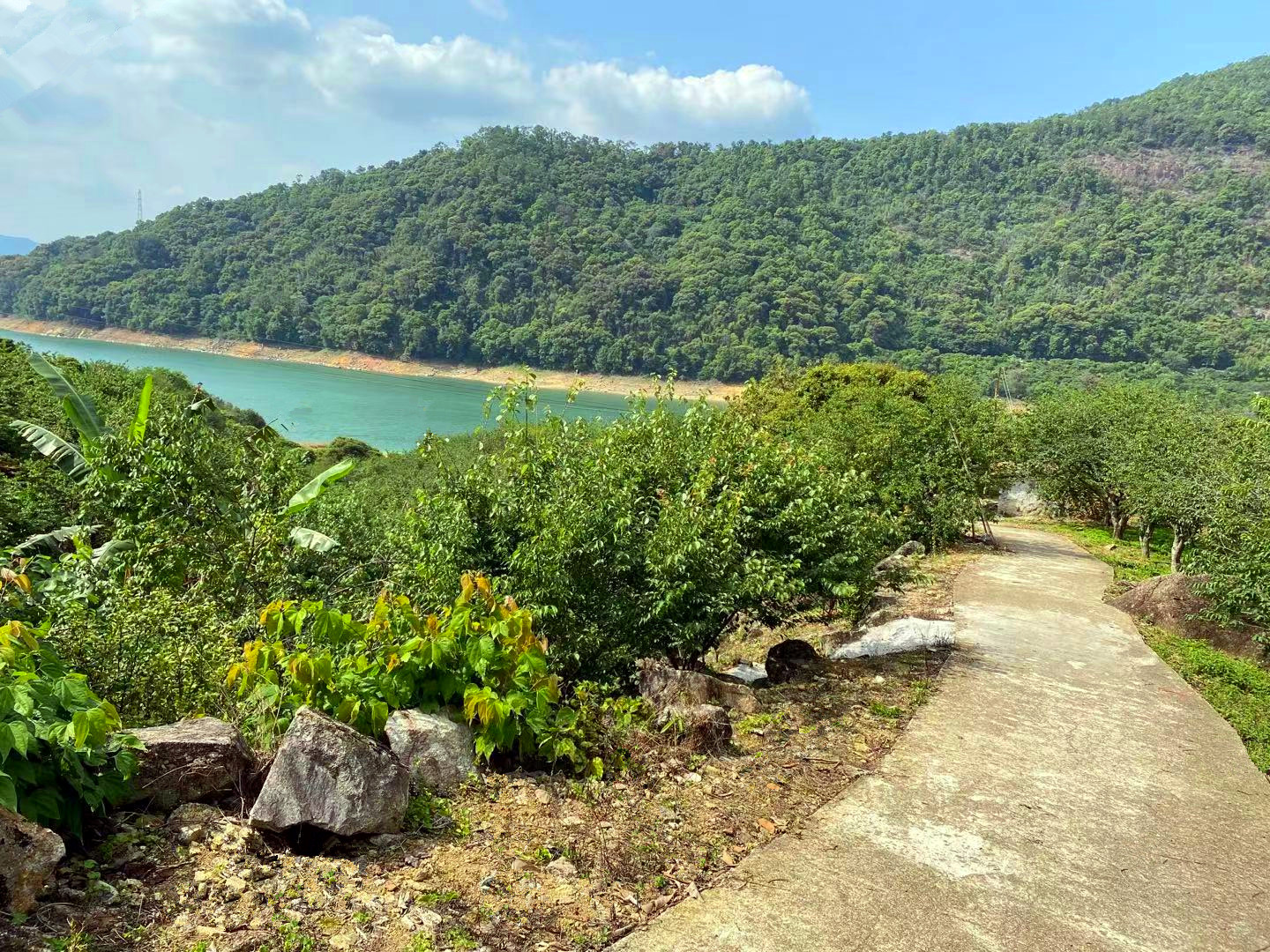 从化区流溪旅游区河湖边30亩果园房屋农庄整体转让1