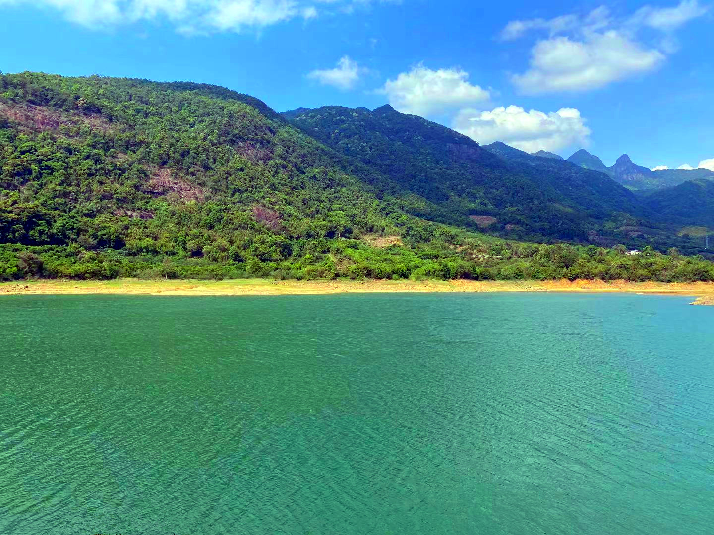 从化区流溪旅游区河湖边30亩果园房屋农庄整体转让4