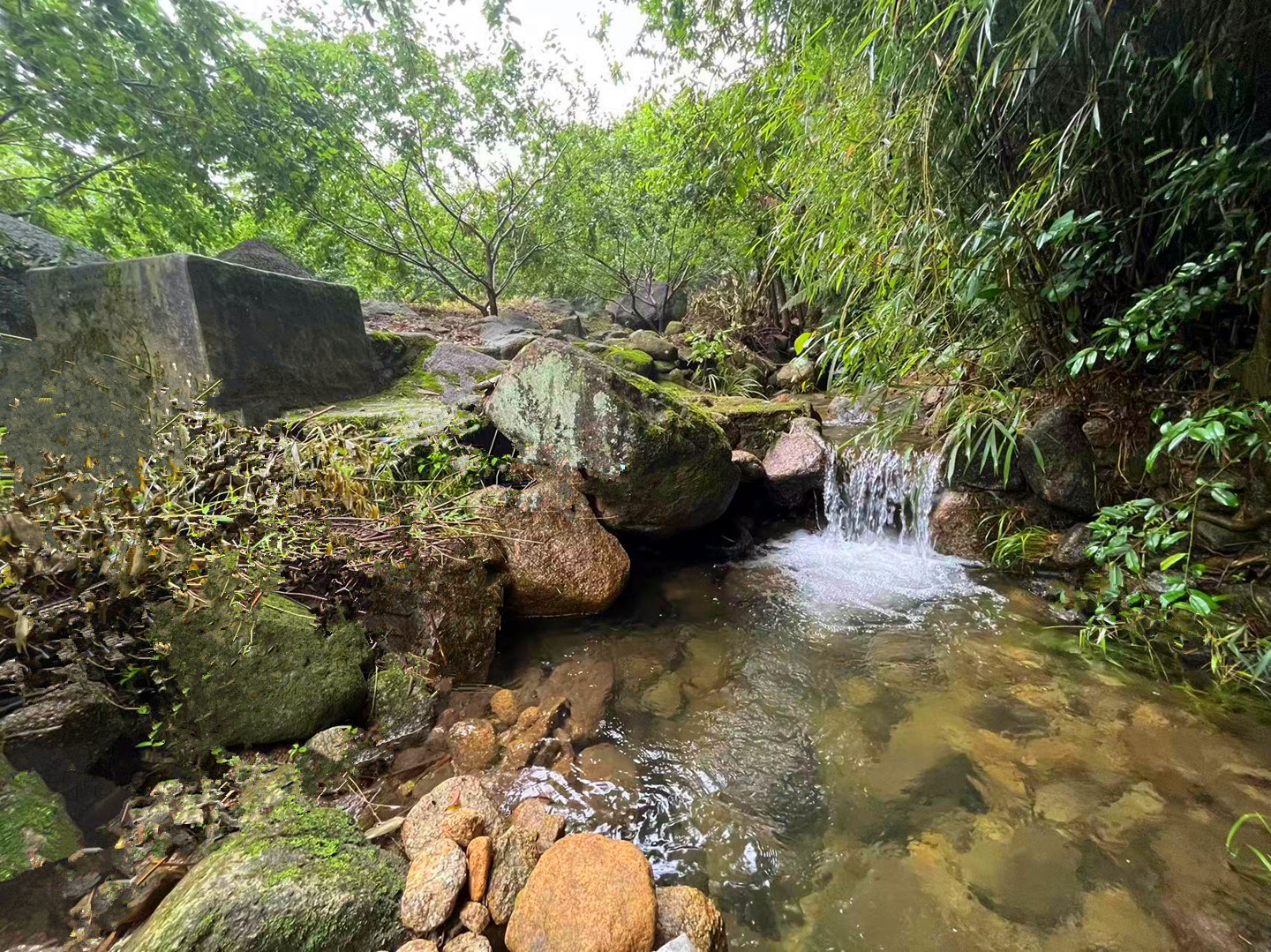 从化区良口旅游区附近溪水边2.5亩果园整体转让1