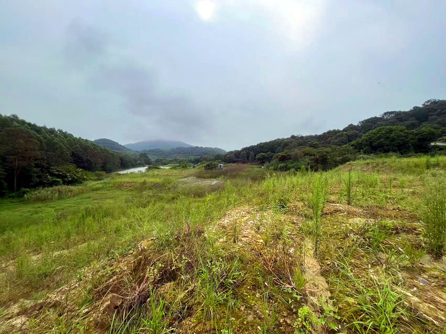 从化区棋杆墟附近500亩山地果园房屋农场整体转让6