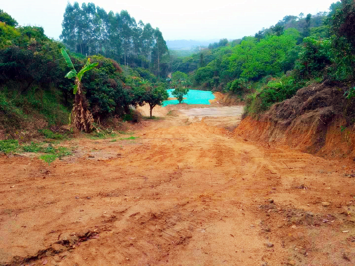 从化区城郊旅游区附近83亩山地果园鱼塘庄园整体转让9