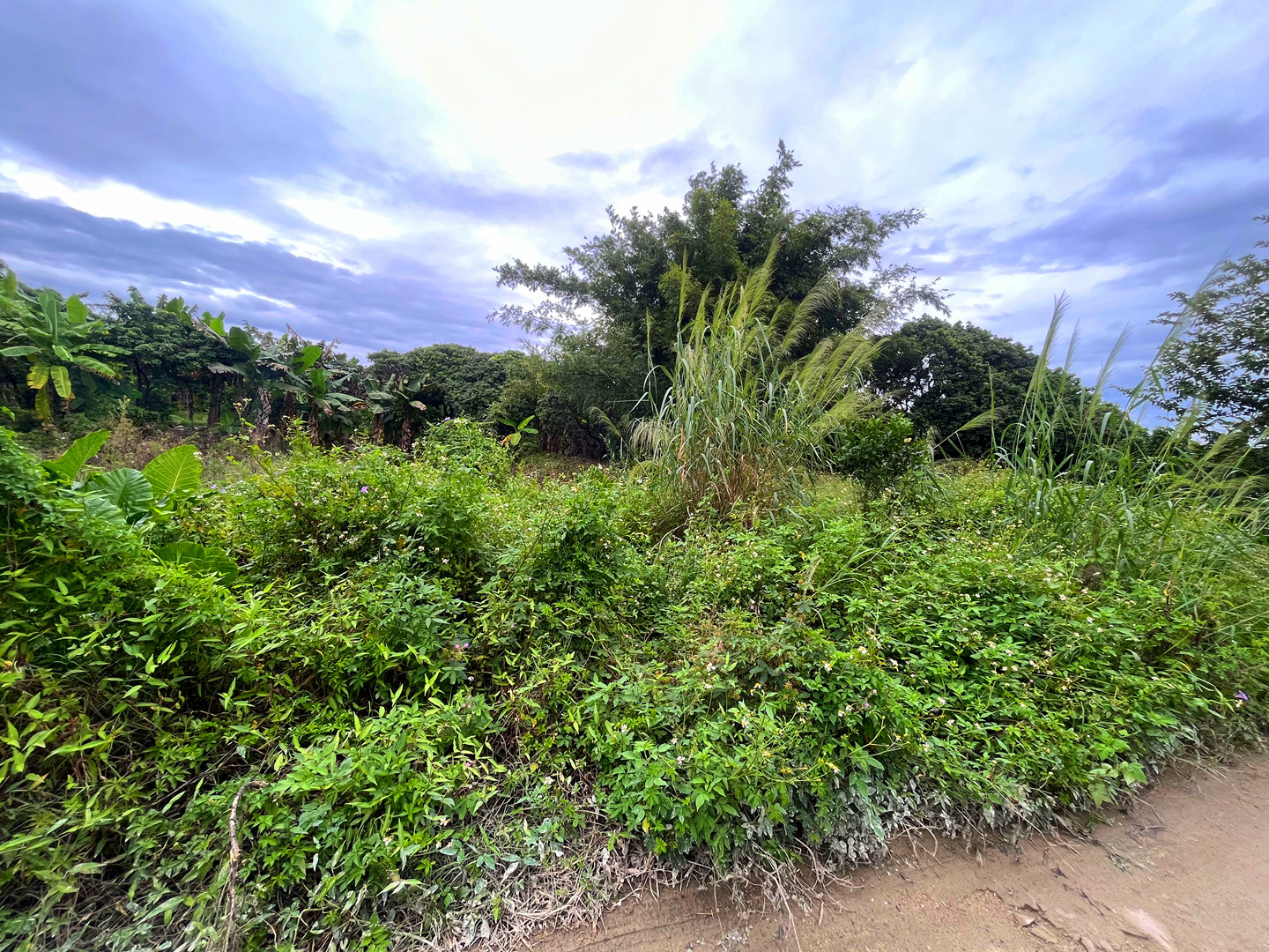 从化区城郊附近200平方土地360平方楼房整体转让3